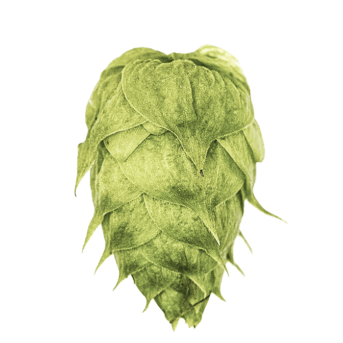 cone
