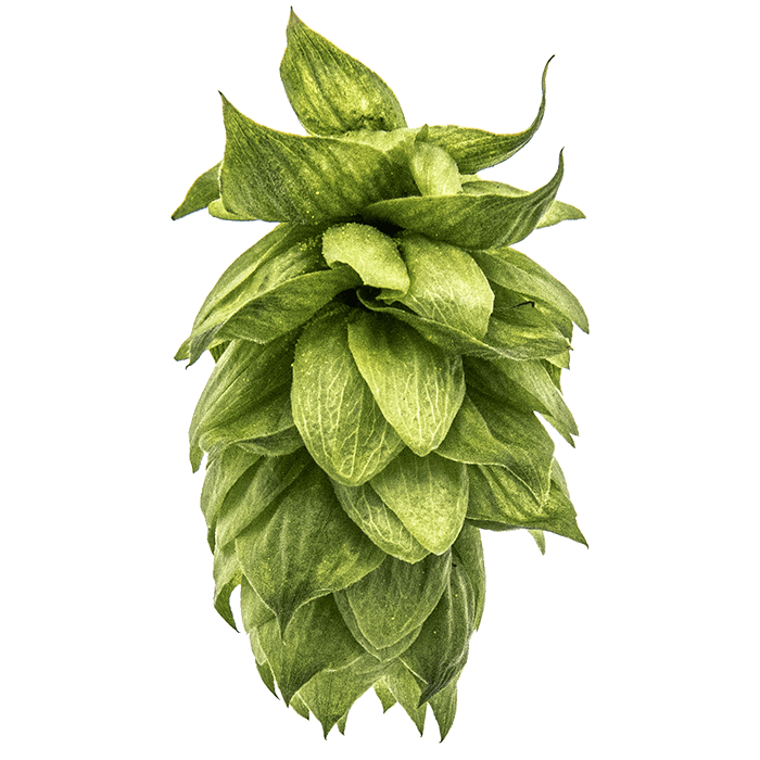 cone