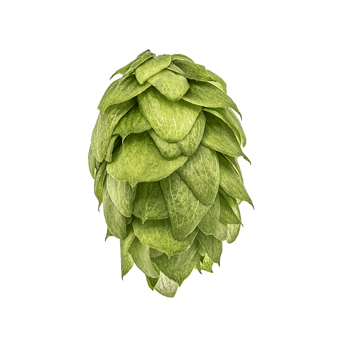 cone