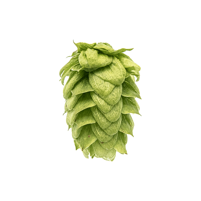 cone
