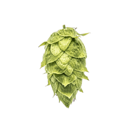 Photo of Ahtanum® Brand hop cones