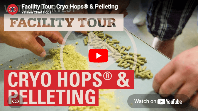 'Facility Tour: Cryo Hops and Pelleting' thumbnail image of hop pellets and hop powder