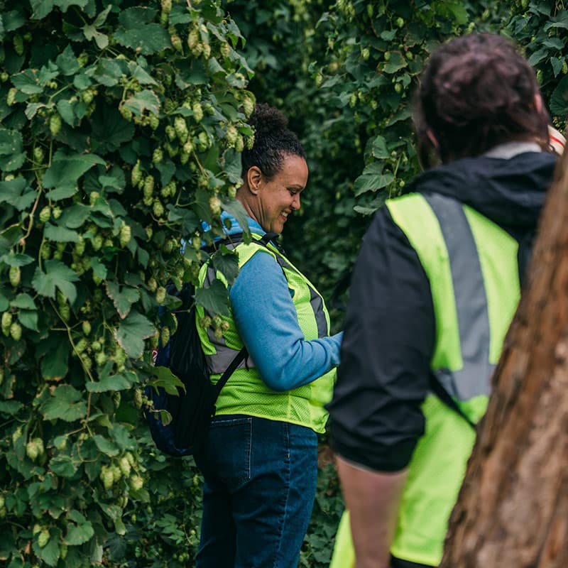 Brewer smiles while standing in field of hops