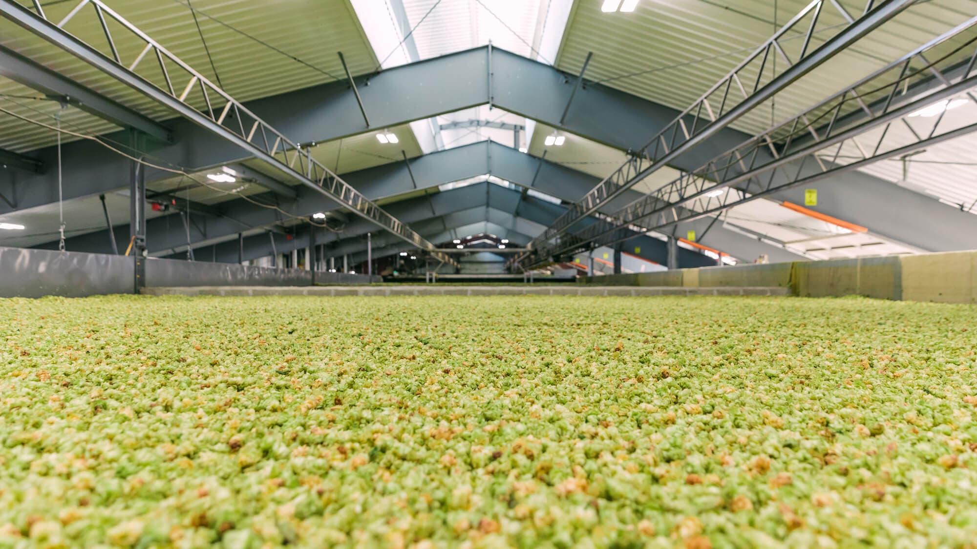 Image of the hop kiln bed at Coleman Ag