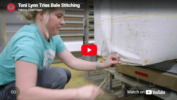 Toni Lynn Tries Bale Stitching thumbnail