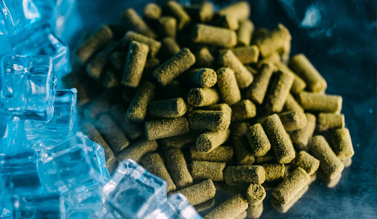 Pile of green hop pellets