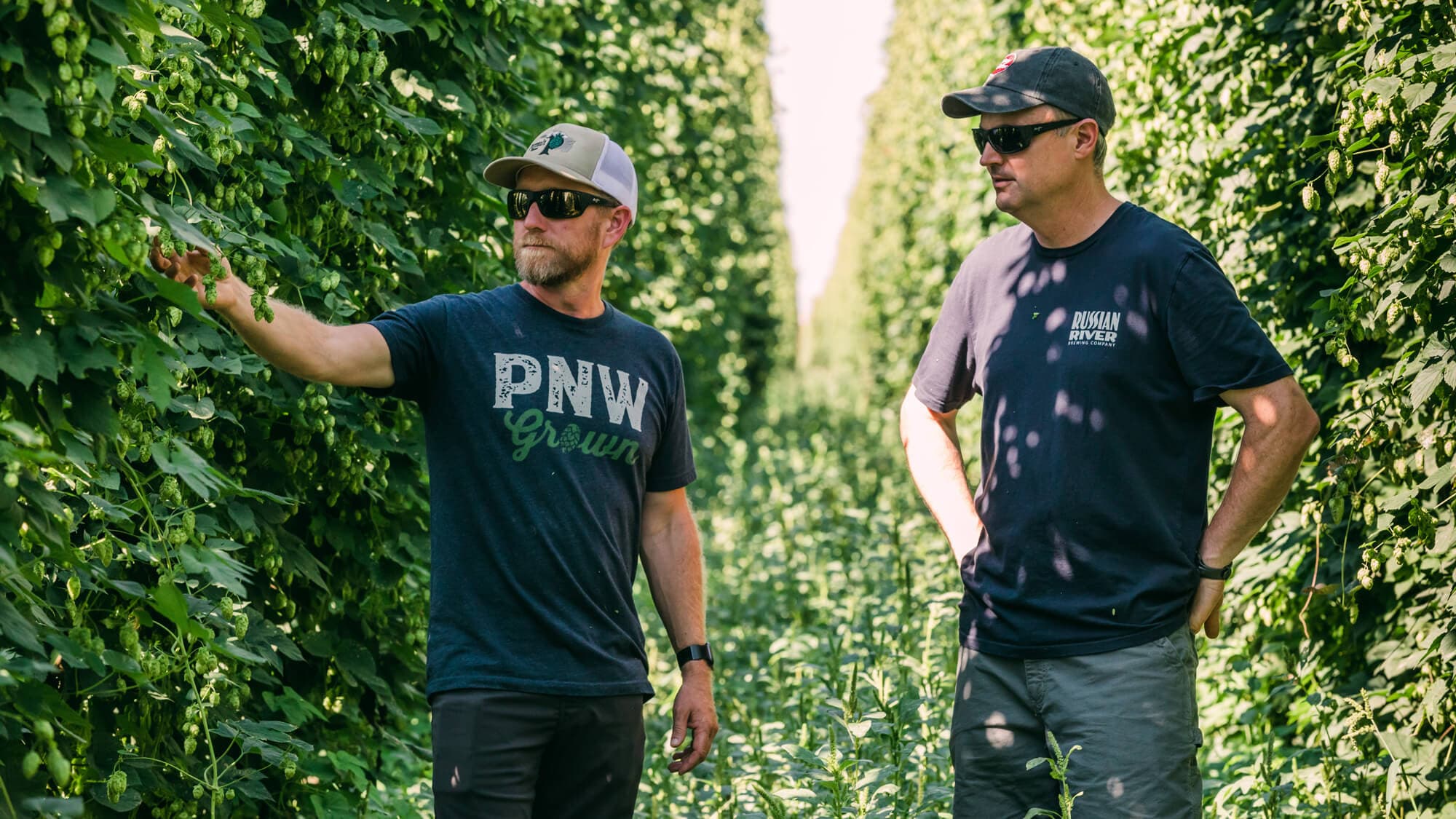 A grower in a hop field with a brewer