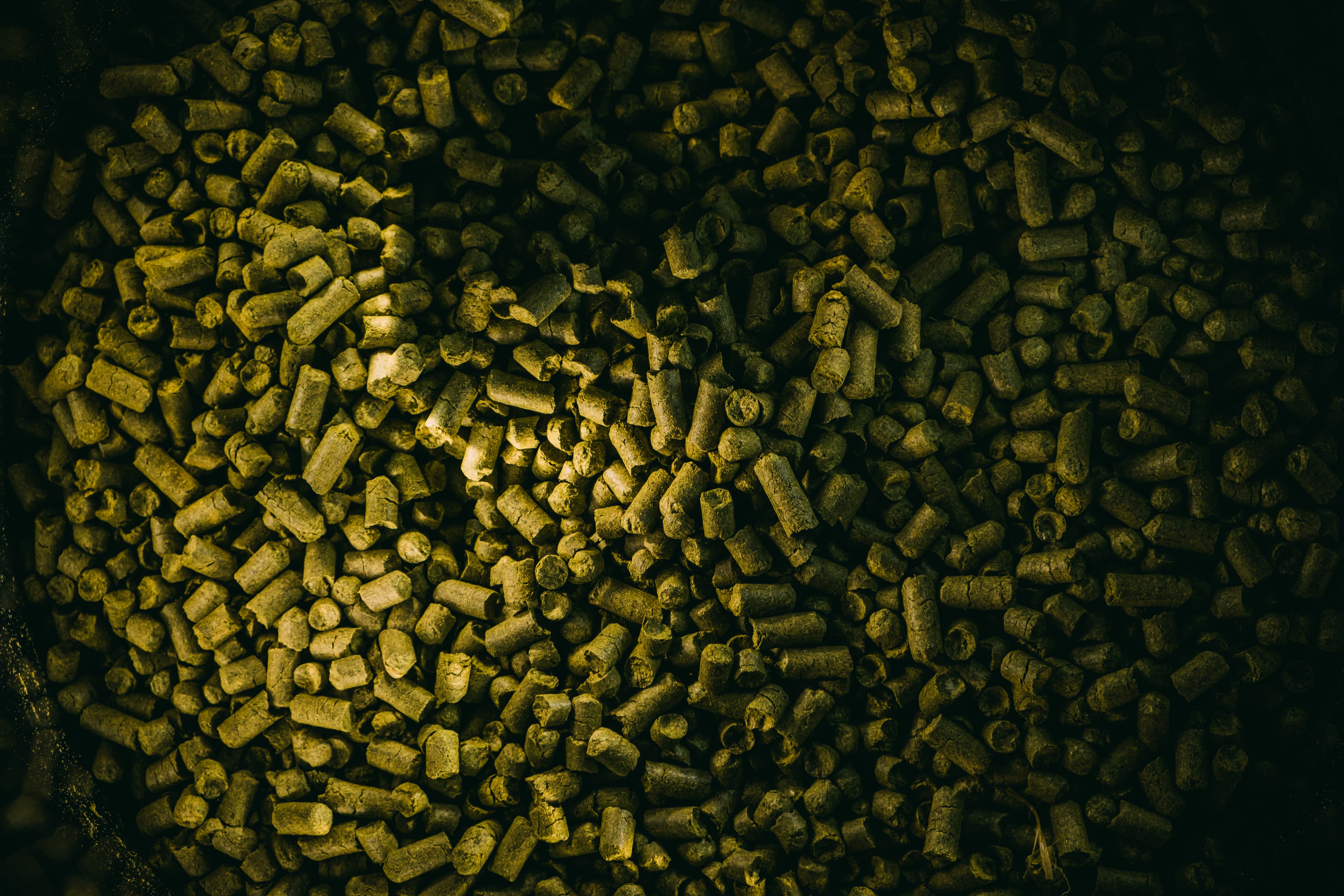Pile of green hop pellets