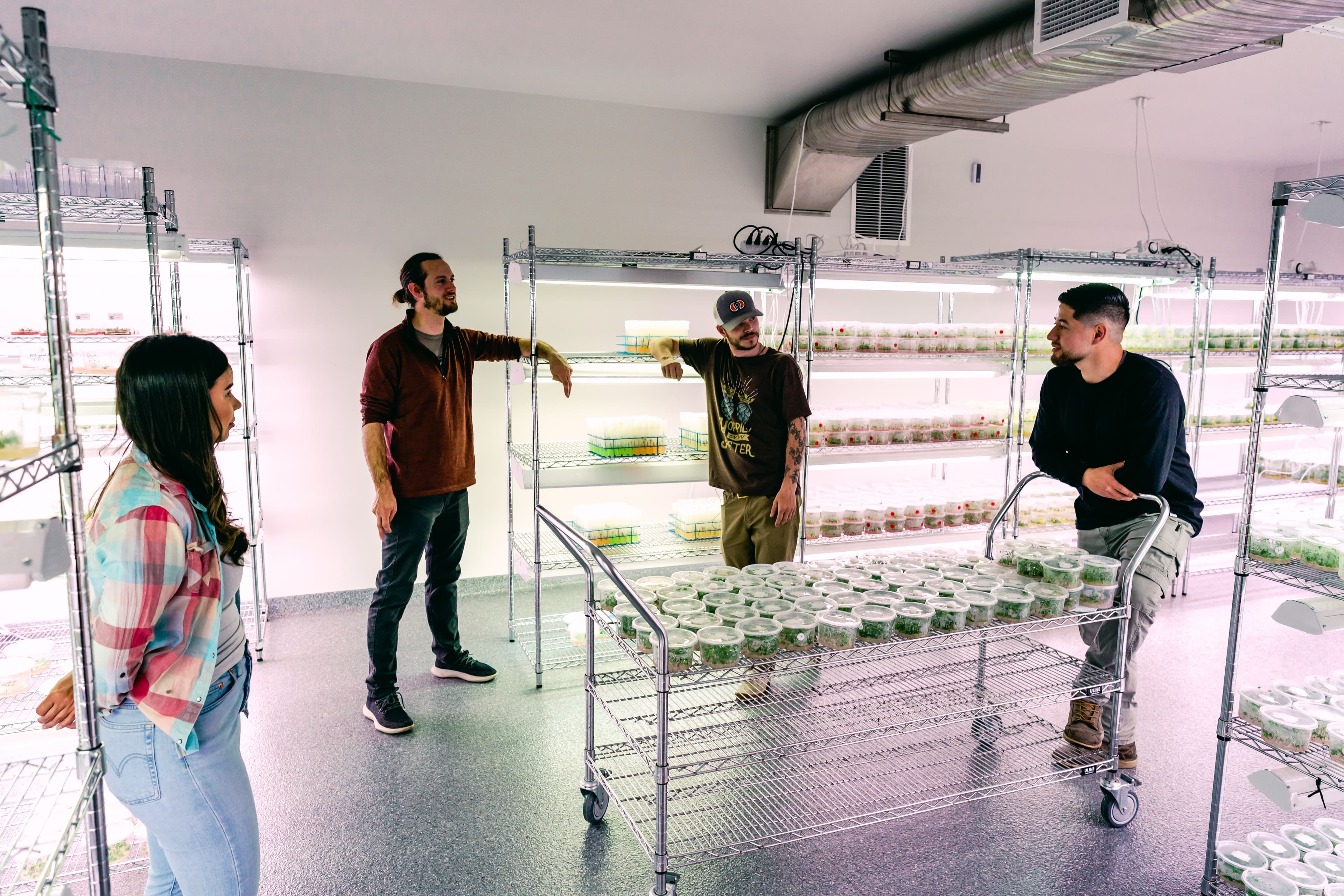 Groupe de personnes qui parlent de manière décontractée dans un laboratoire de houblon.
