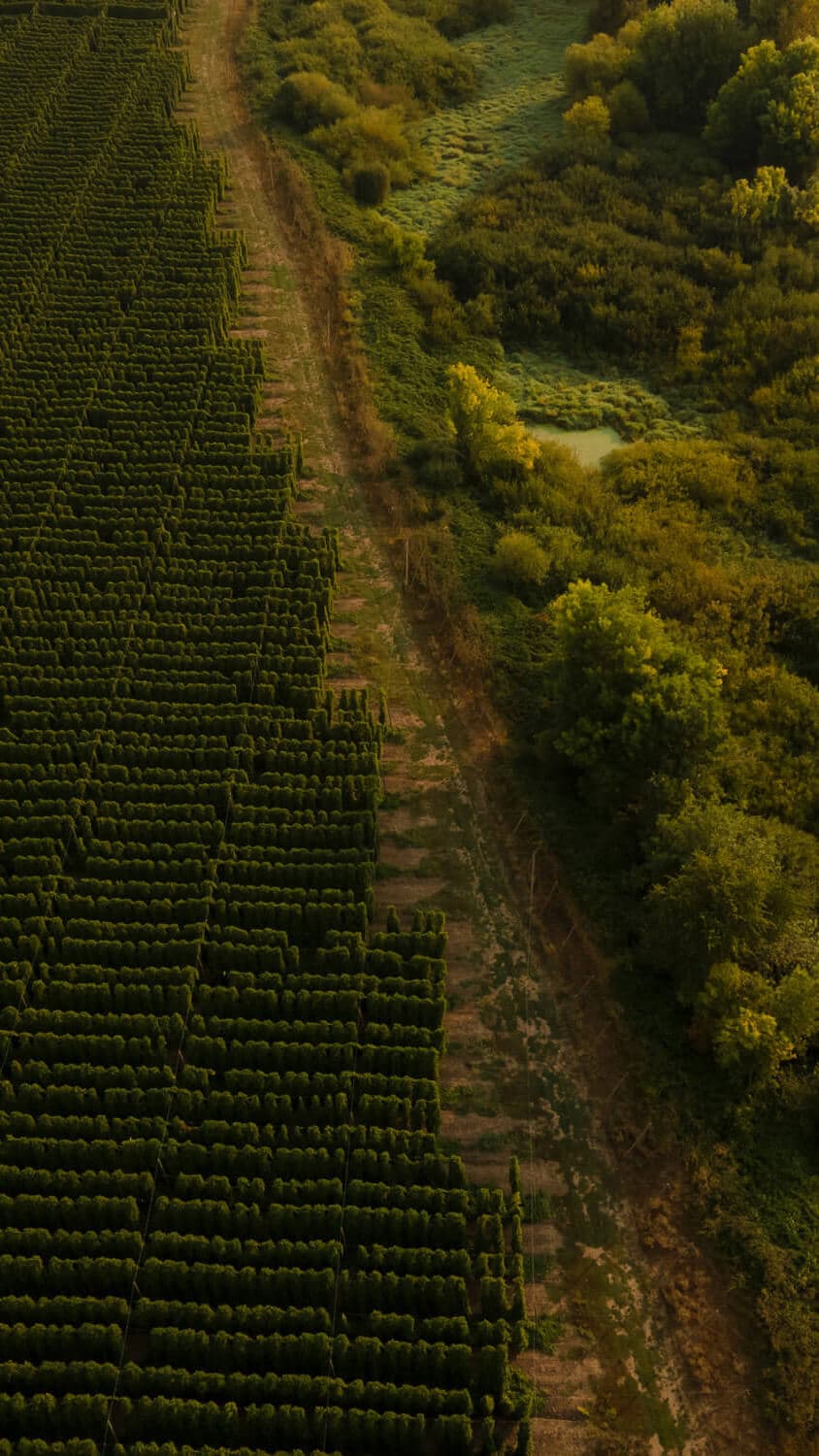 Image of Westwood Farms fields