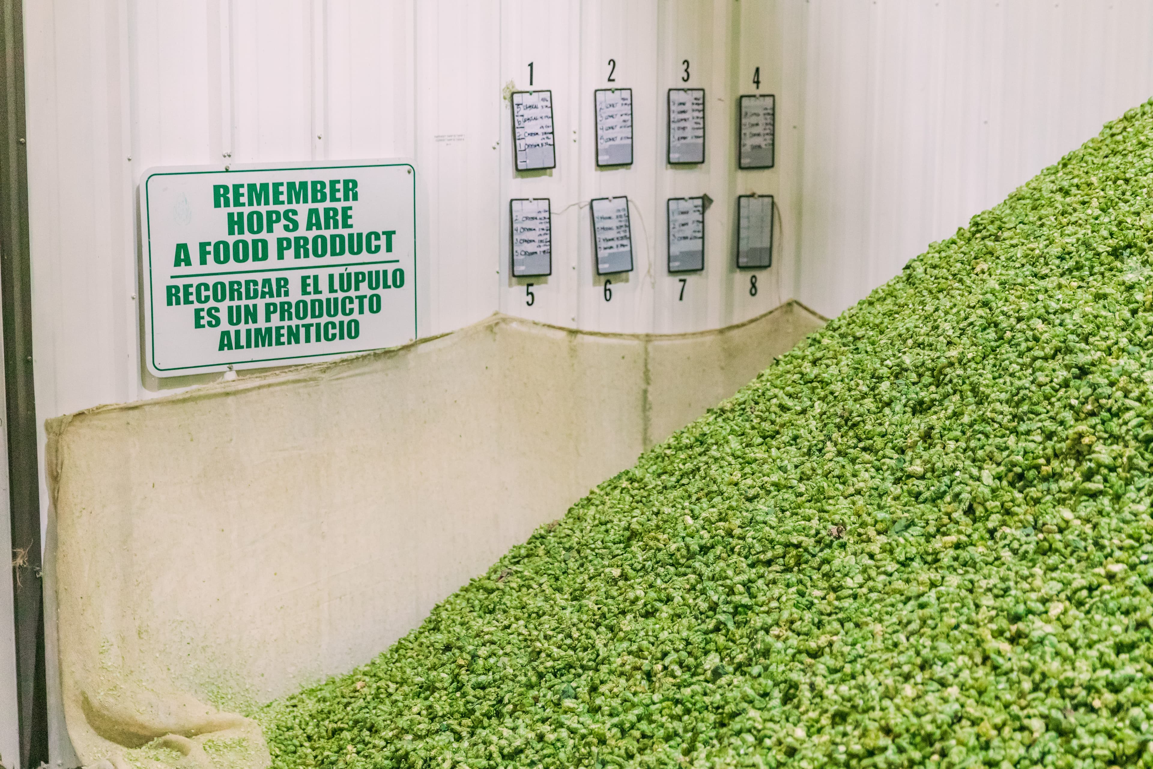 Pile de houblon récolté devant un mur avec une affiche indiquant « souvenez-vous que le houblon est un produit alimentaire ».