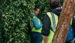 Brewer stands in field of fresh hops