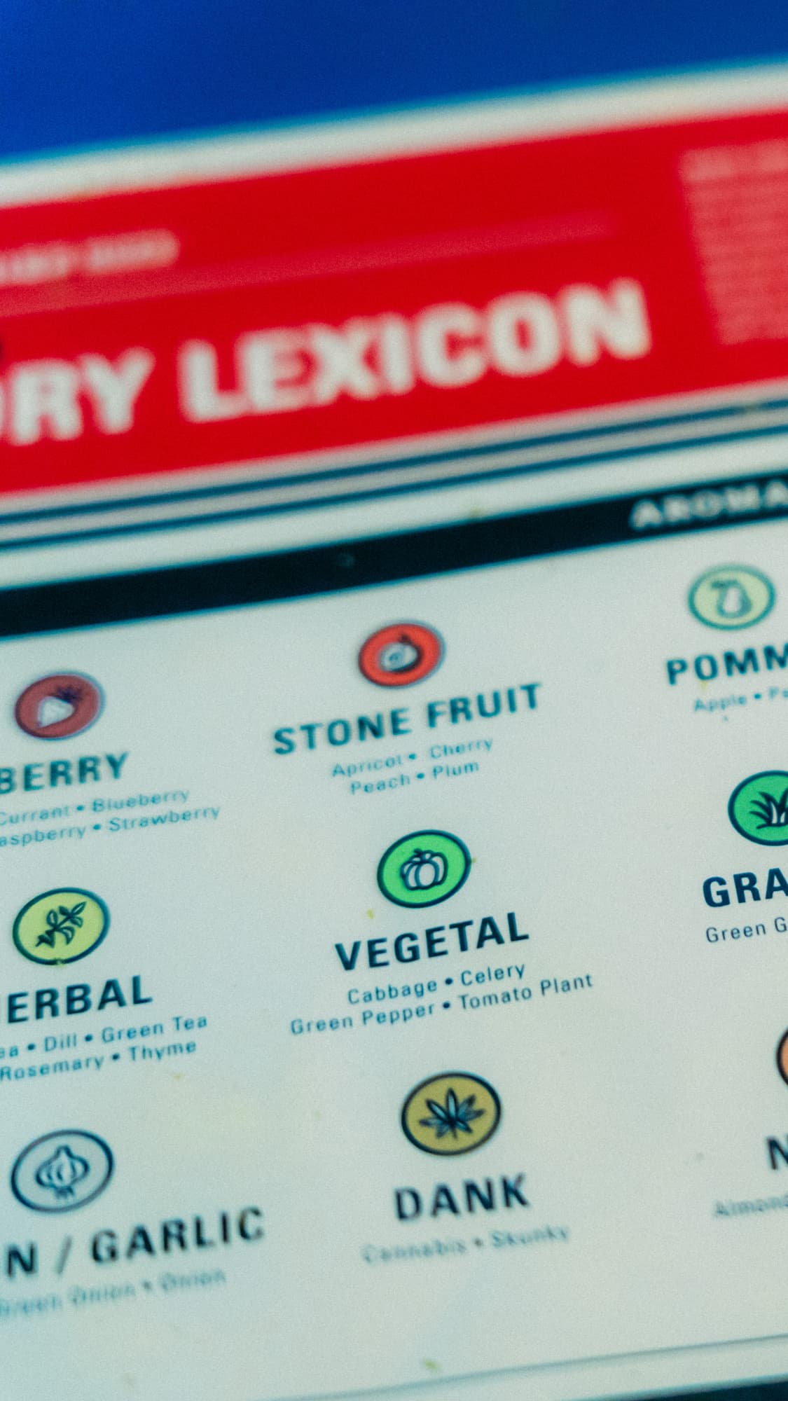 Sensory lexicon document