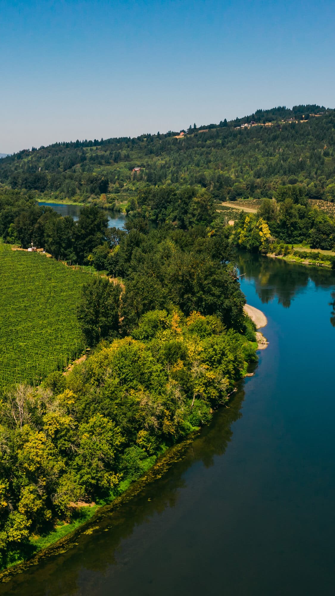 Image of river next to hop fields