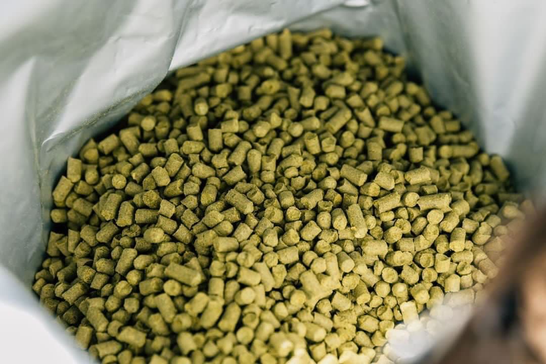 Close-up of small and cylindrical vibrant green hop pellets.