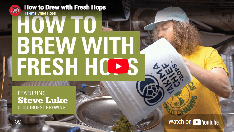 video thumbnail image of man pouring bucket of hops to a large brewing container
