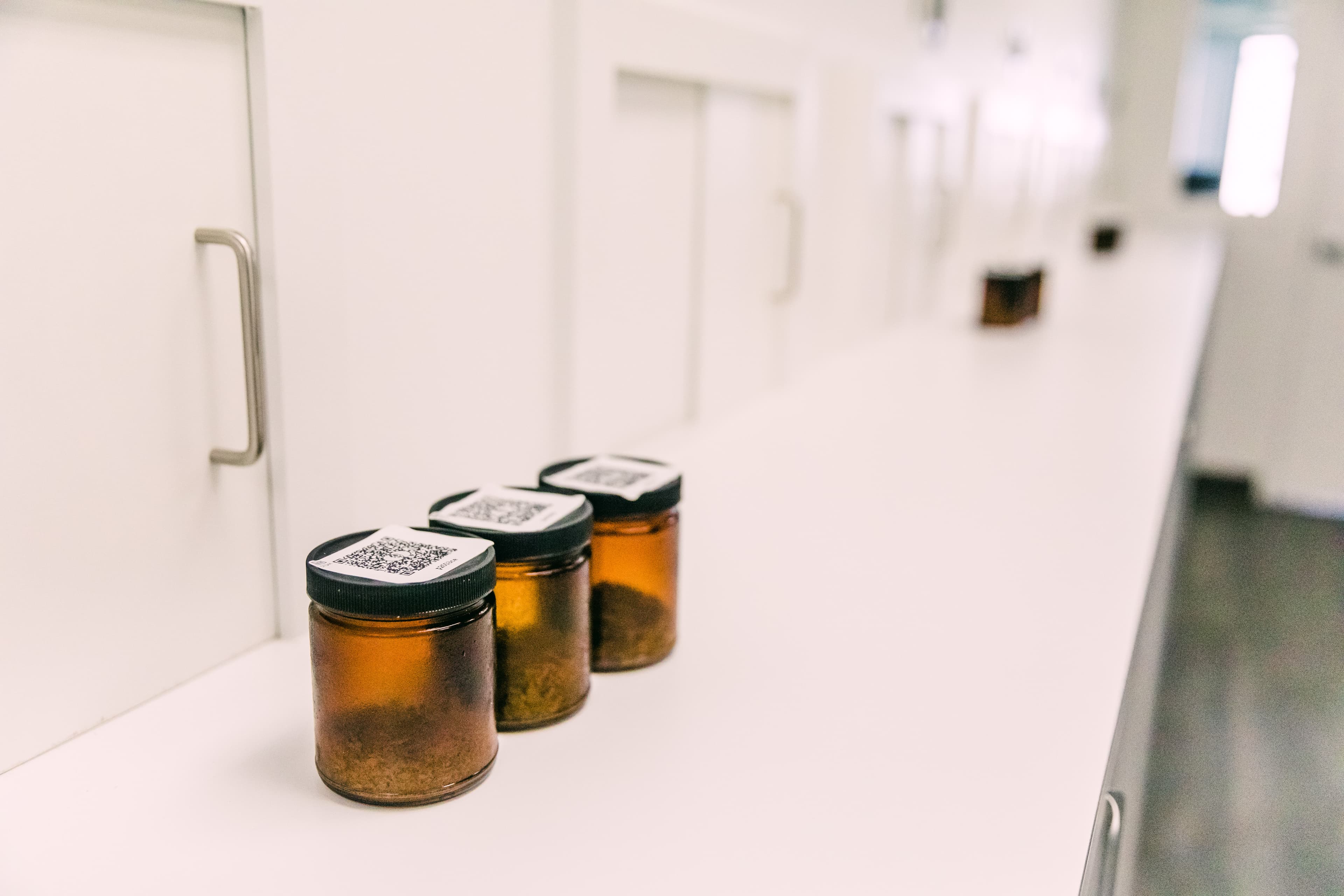 Contenants de verre ambré remplis de houblon dans un laboratoire.