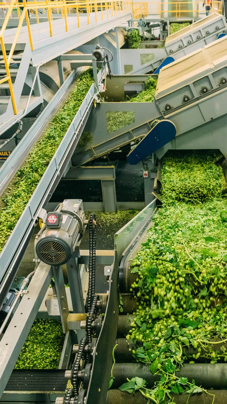 Image of a hop picking machine