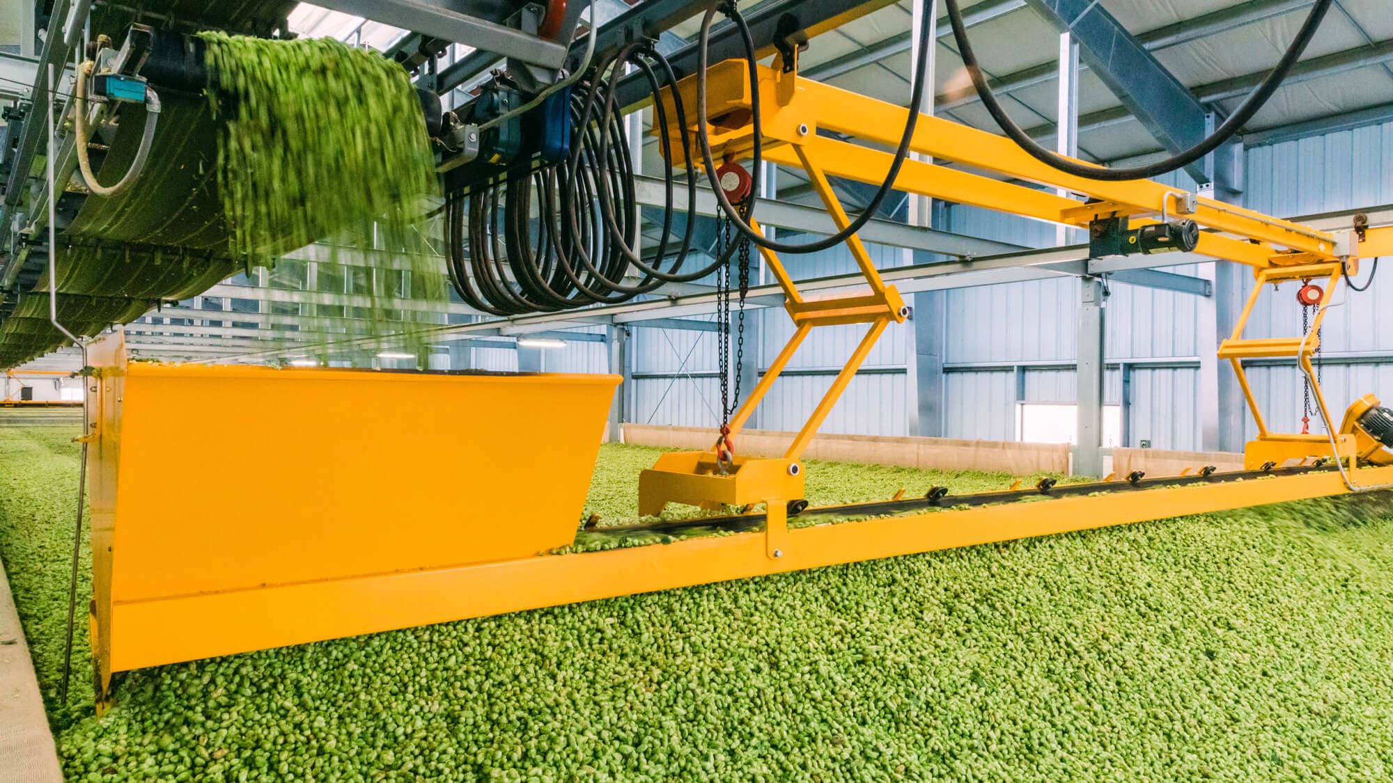 Image of hop kiln being filled with hop cones