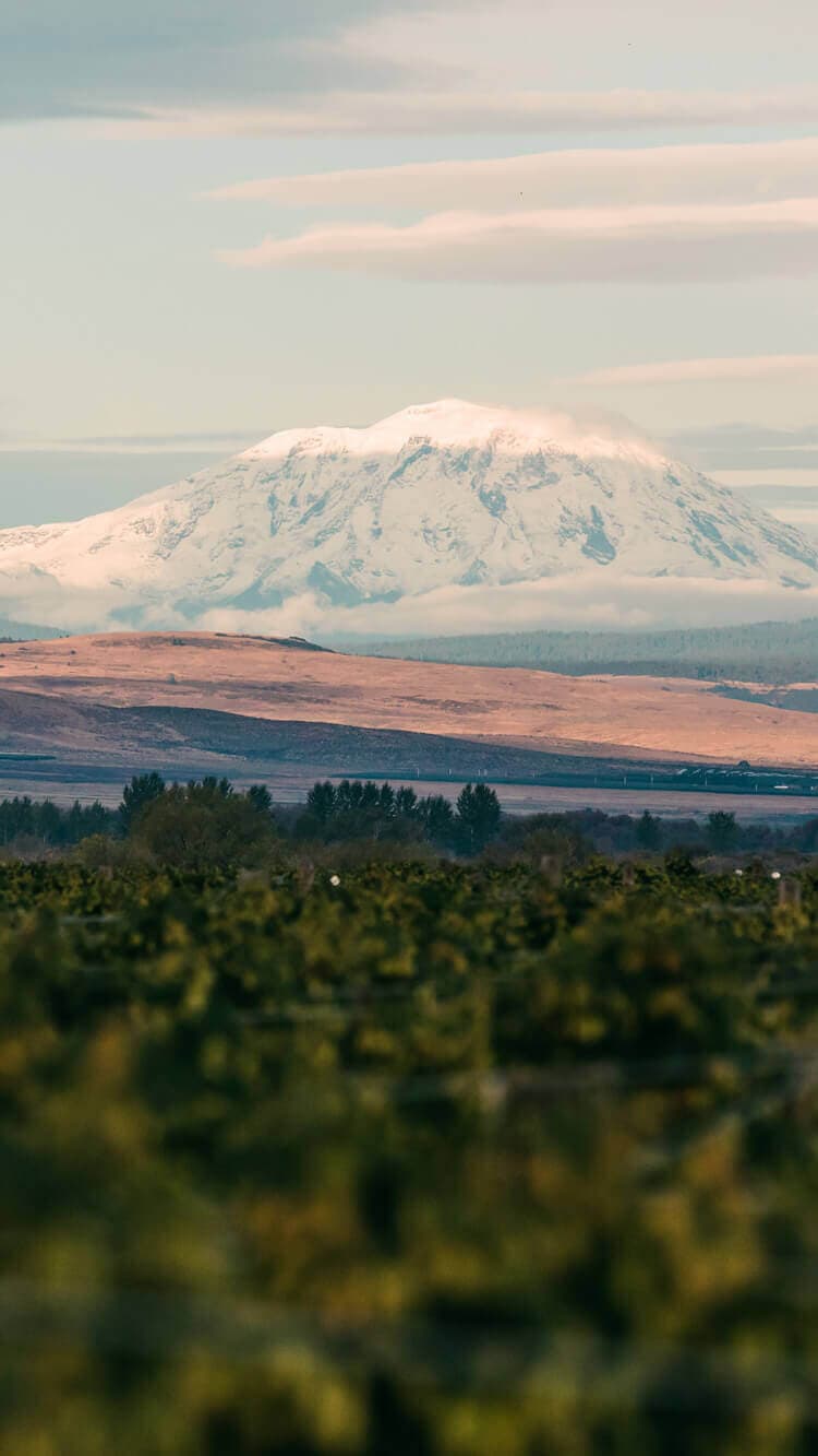 Image of Mt. Adams