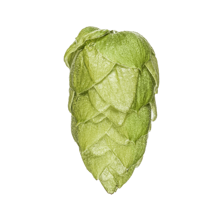 wysiwyg/Riwaka.png