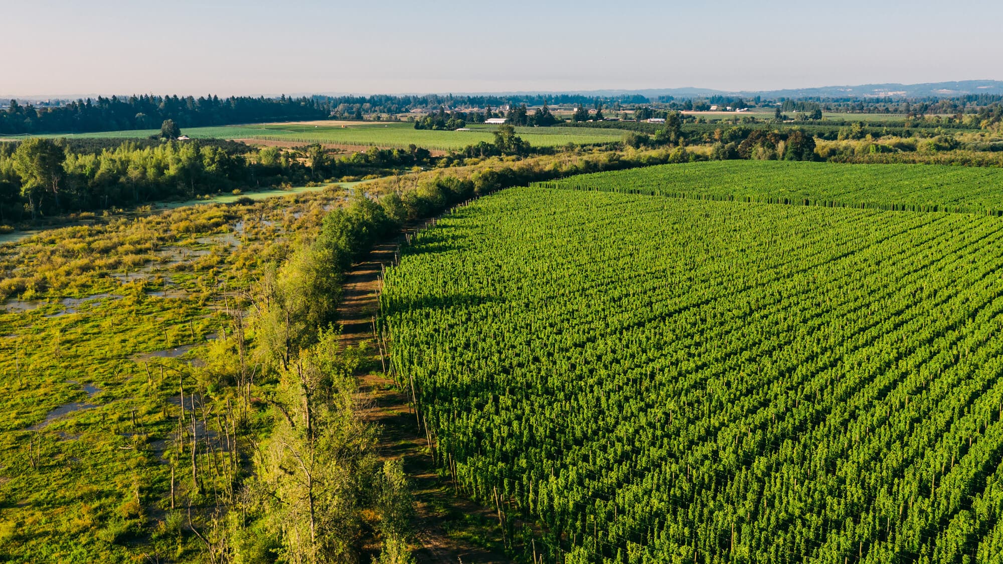 Image of Sodbuster Farms fields