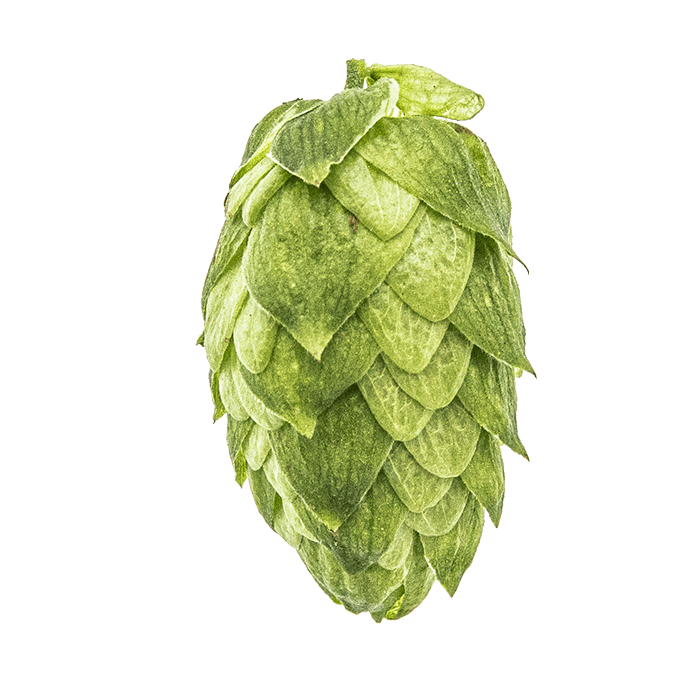 Amarillo® Brand Cryo Hops® Pellets