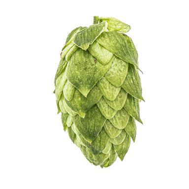 Photo of Amarillo® Brand hop cones Photo of Amarillo® Brand hop cones