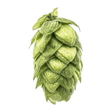 Photo of Azacca® Brand hop cones Photo of Azacca® Brand hop cones