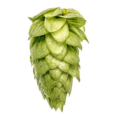 Photo of BRU-1™ Brand hop cones Photo of BRU-1™ Brand hop cones