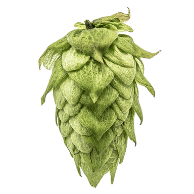 Photo of Centennial hop cones Photo of Centennial hop cones