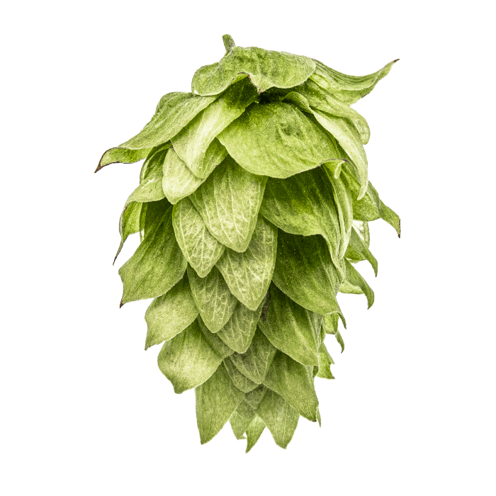 cone