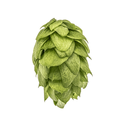 Photo of Crystal hop cones