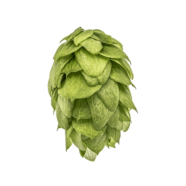 Photo of Crystal hop cones Photo of Crystal hop cones