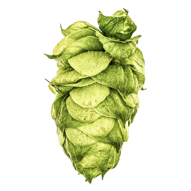 Photo of Dolcita® Brand hop cones Photo of Dolcita® Brand hop cones