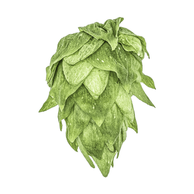 Photo of Krush® Brand hop cones Photo of Krush® Brand hop cones