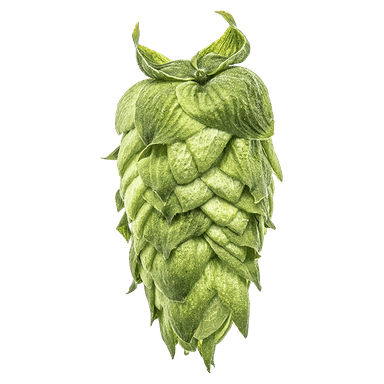 Photo of Idaho 7® Brand hop cones Photo of Idaho 7® Brand hop cones