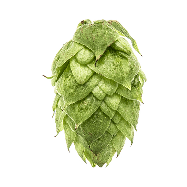 Photo of Idaho Gem™ Brand hop cones Photo of Idaho Gem™ Brand hop cones
