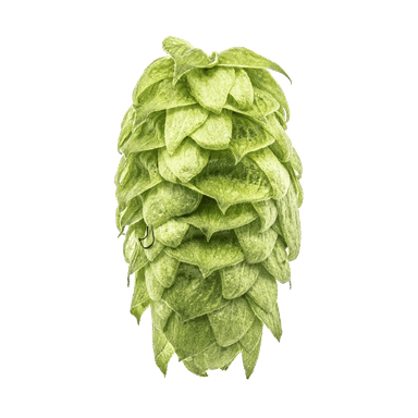 Photo of Mosaic® Brand hop cones Photo of Mosaic® Brand hop cones