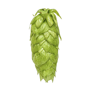 Photo of Nelson Sauvin™ Brand - NZ Hops hop cones Photo of Nelson Sauvin™ Brand - NZ Hops hop cones