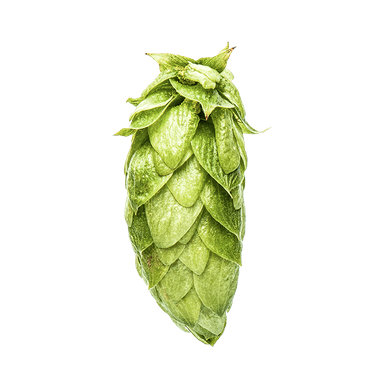 Photo of Nectaron® Brand - NZ Hops hop cones Photo of Nectaron® Brand - NZ Hops hop cones