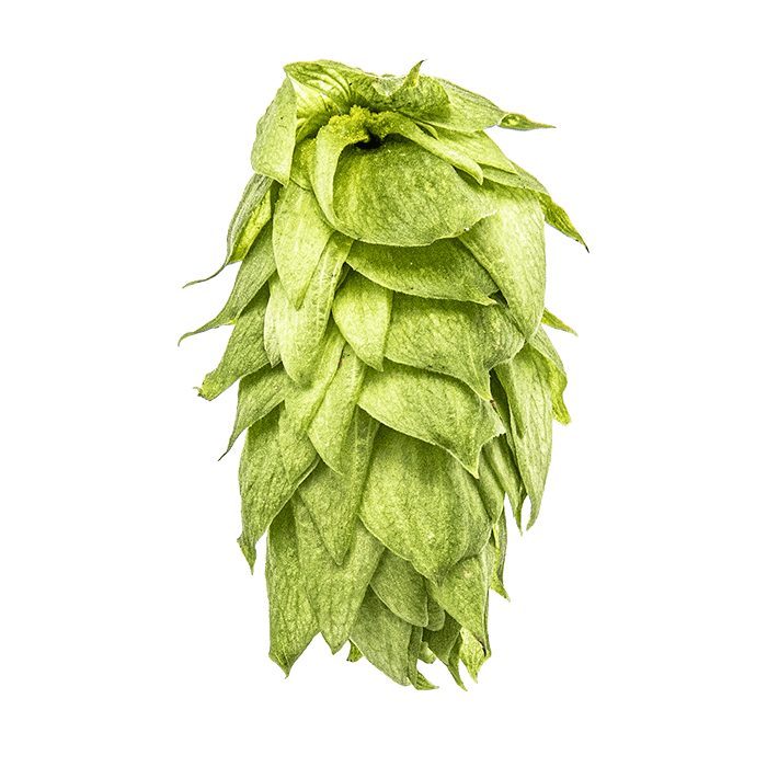 cone