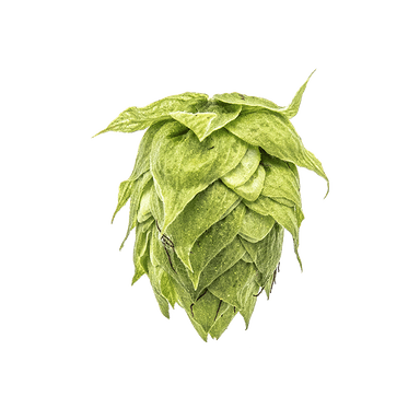 Photo of Pekko® Brand hop cones Photo of Pekko® Brand hop cones