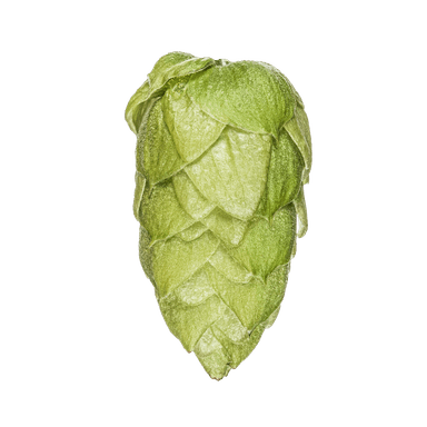 Photo of Riwaka™ Brand - NZ Hops hop cones Photo of Riwaka™ Brand - NZ Hops hop cones