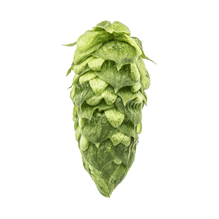 cone