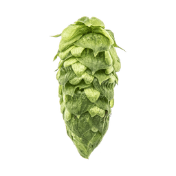 Photo of Simcoe® Brand hop cones