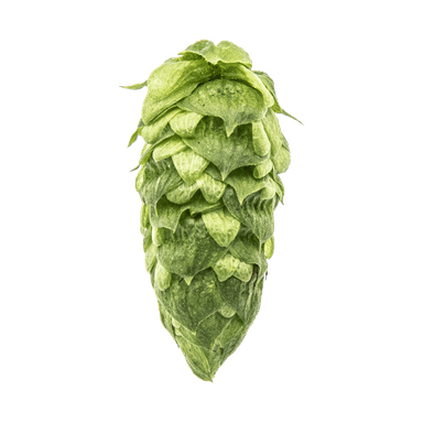 Photo of Simcoe® Brand hop cones Photo of Simcoe® Brand hop cones