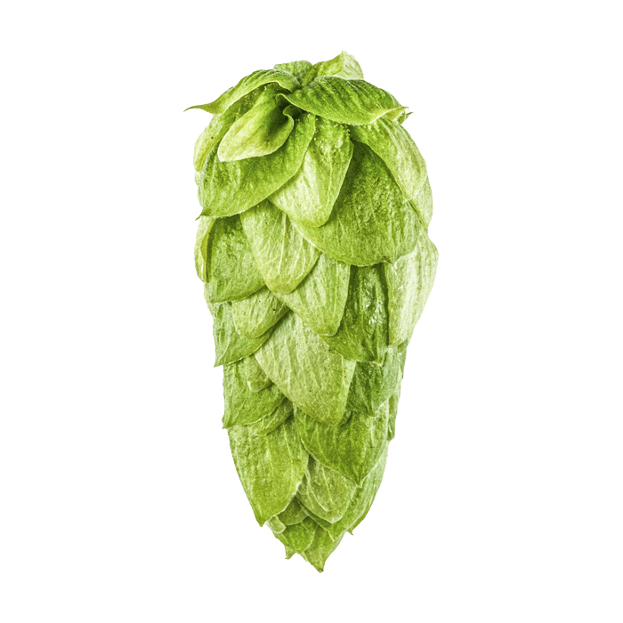 Photo of Superdelic™ Brand - NZ Hops hop cones