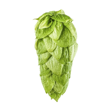 Photo of Superdelic™ Brand - NZ Hops hop cones Photo of Superdelic™ Brand - NZ Hops hop cones