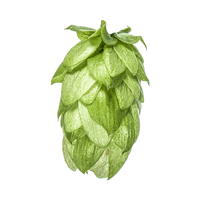 Photo of Wai-iti™ Brand - NZ Hops hop cones